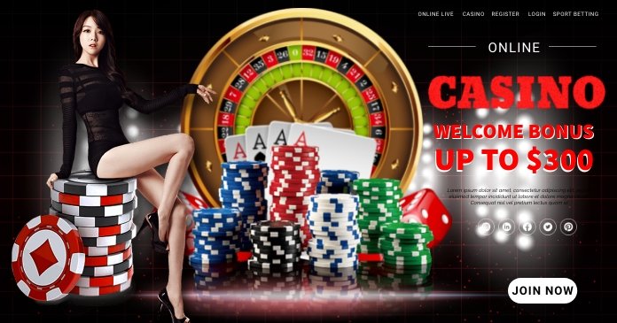 win558