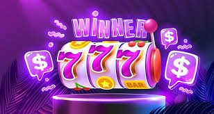 win558