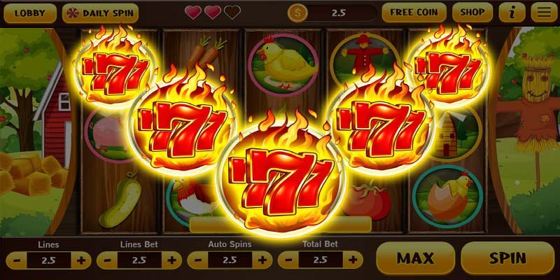 win558